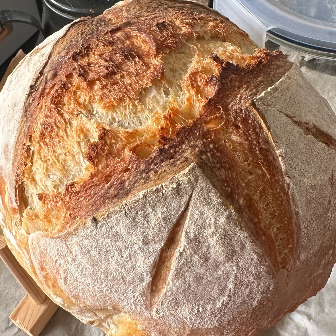 Sourdough Starter 100g - photo 3