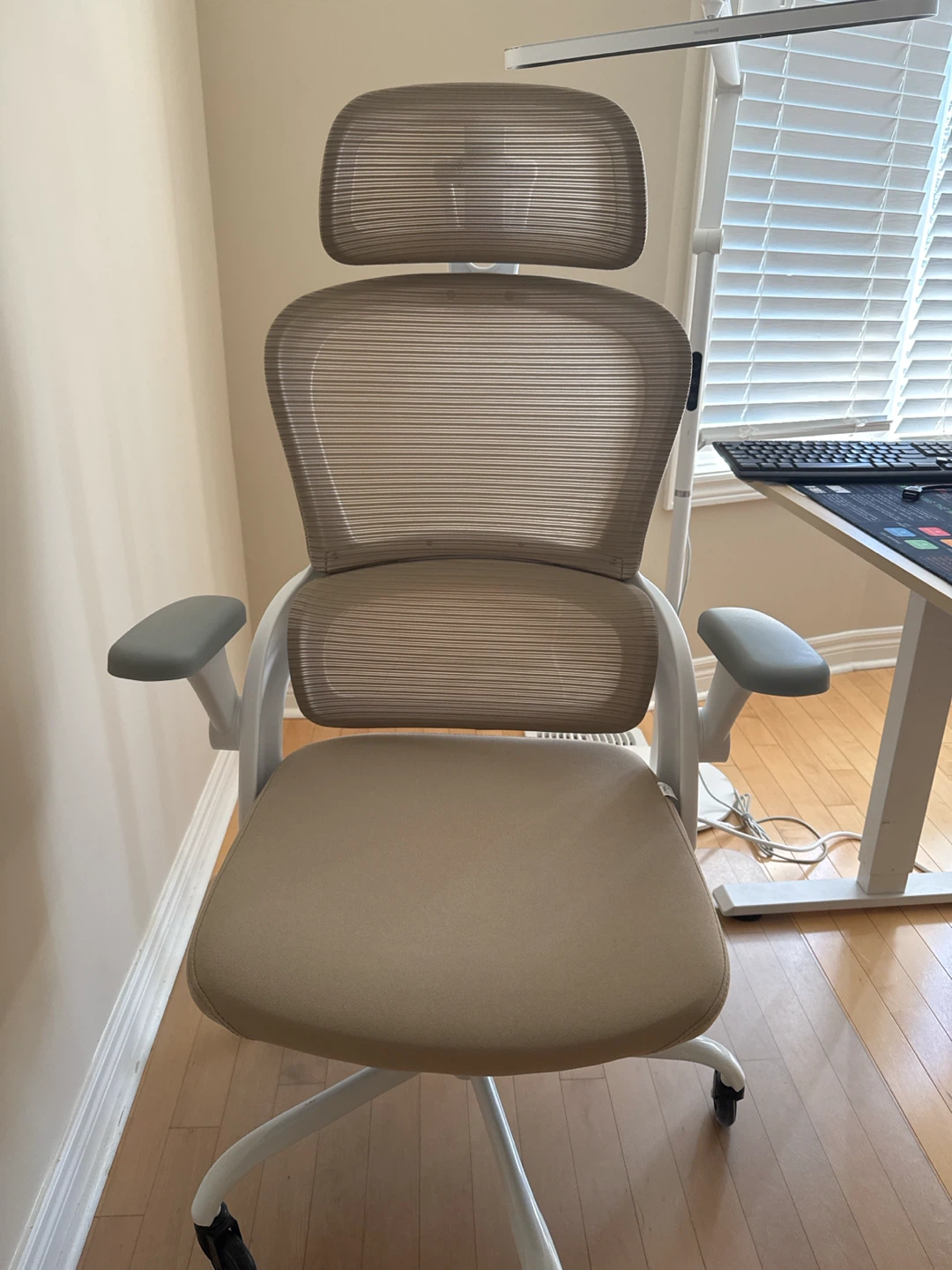 Ergonomic Office Chair