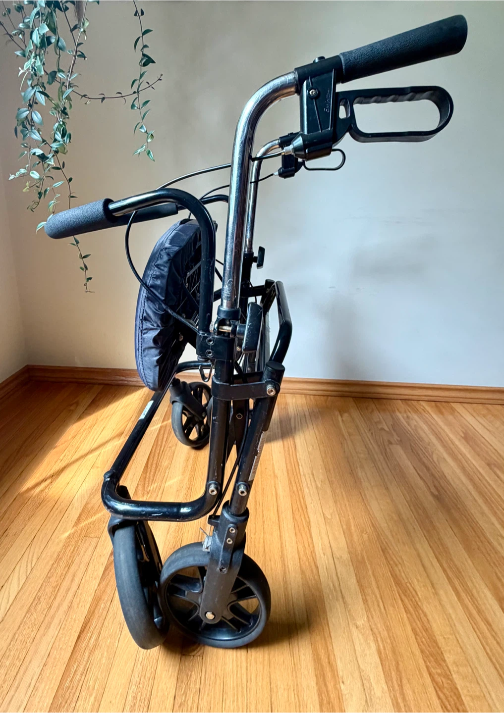 Evolution Walker - photo 4