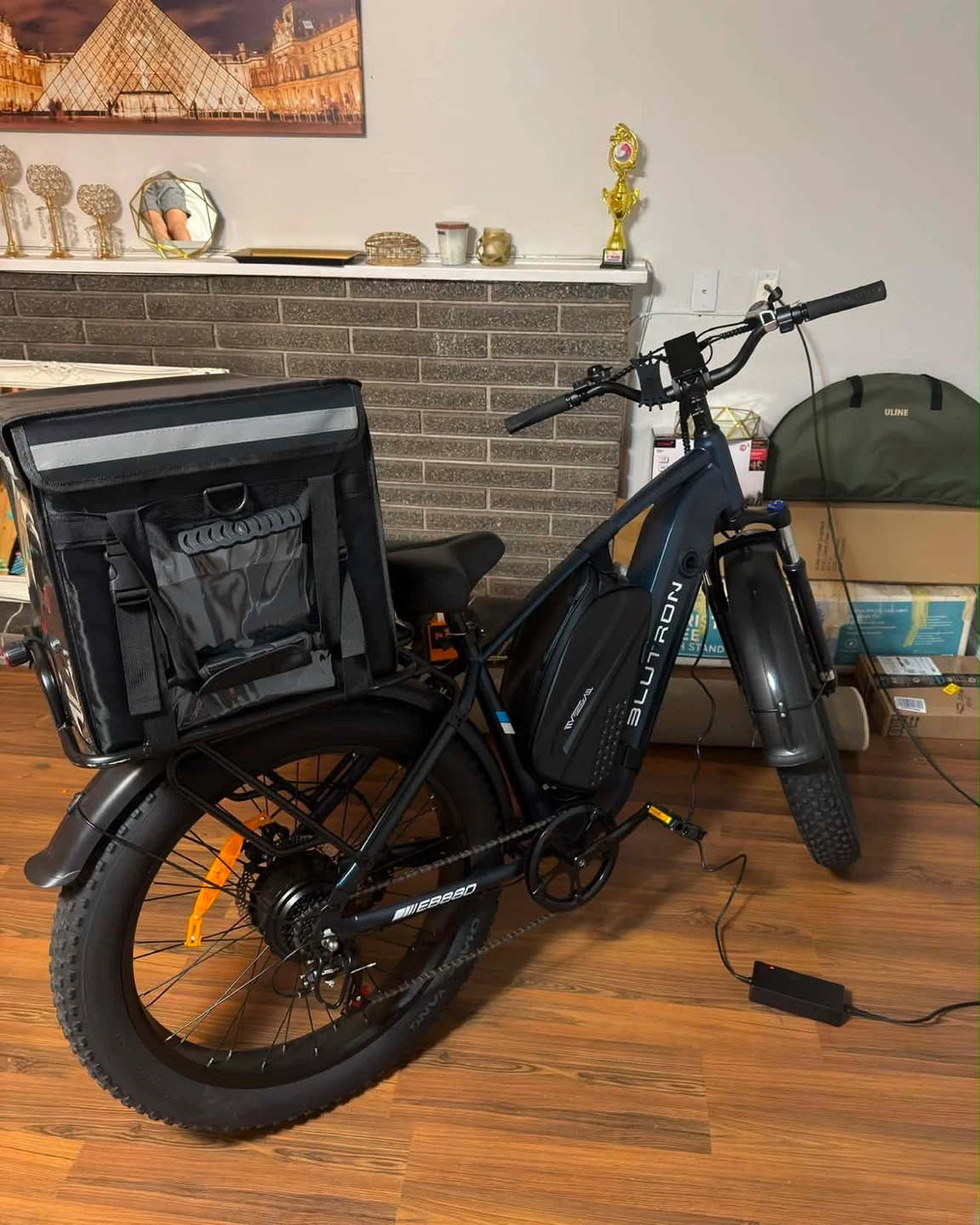 Blutron EB880 Fat Tire Electric Bike