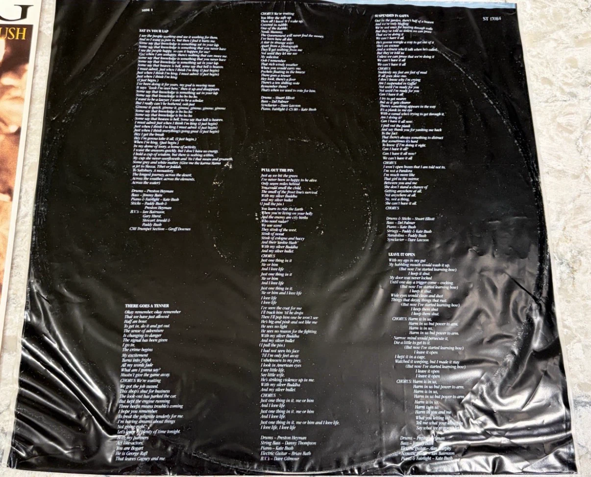 Kate Bush The Dreaming Record 1982 🇨🇦 Press (ST-17084) - photo 3