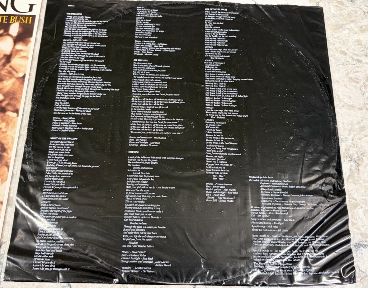 Kate Bush The Dreaming Record 1982 🇨🇦 Press (ST-17084) - photo 4