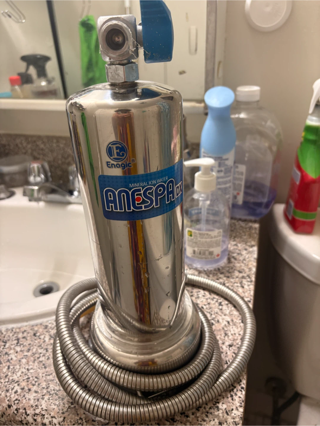 Anespa shower filter system