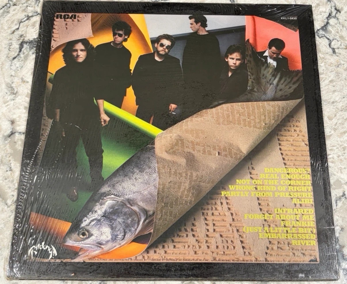 Doug and the Slugs Wrap It Vinyl (1981 🇨🇦 Ritdong)(KKL1-0430) - photo 2