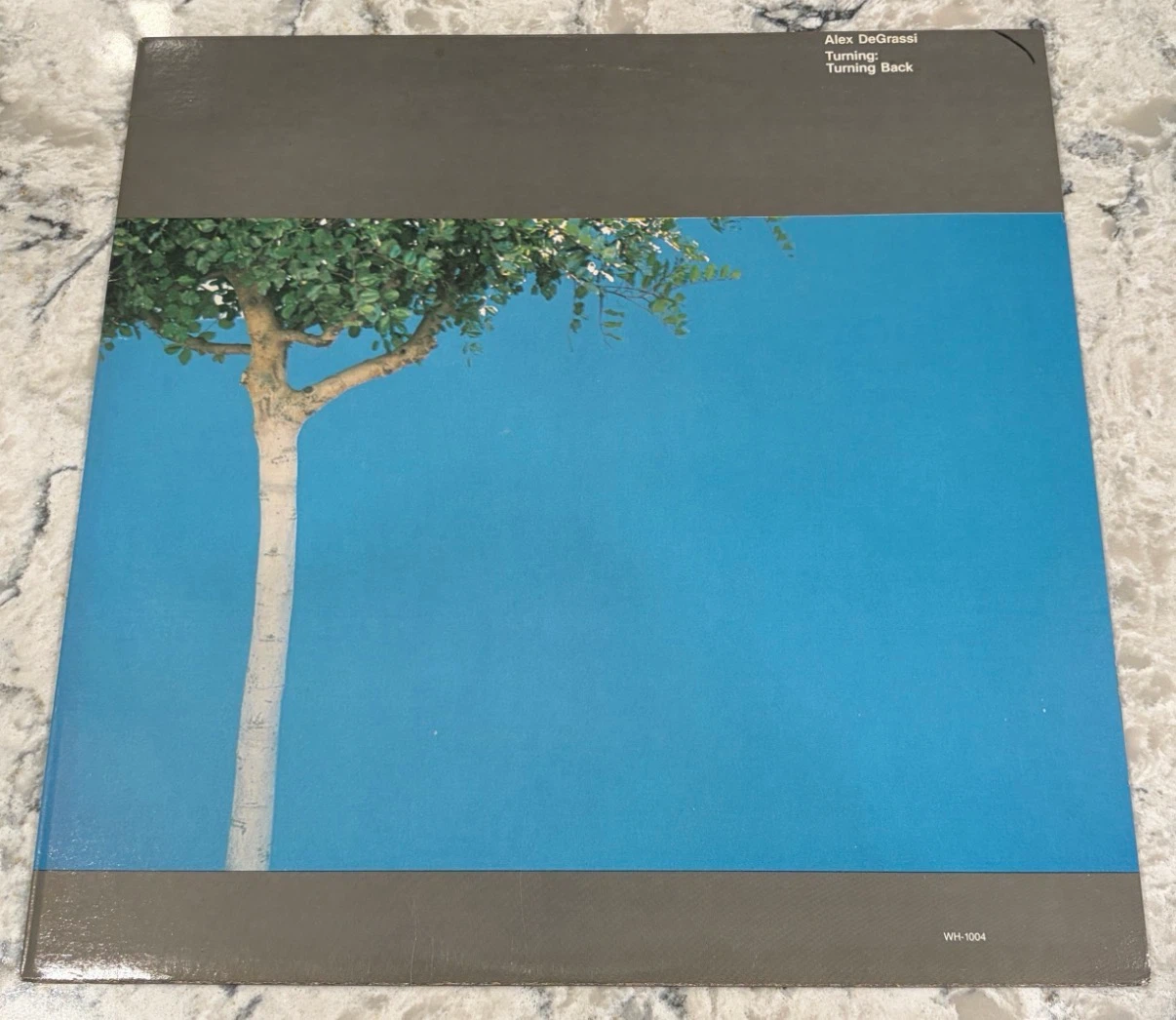 Alex De Grassi Turning: Turning Back 1978 Record (WH-1004)