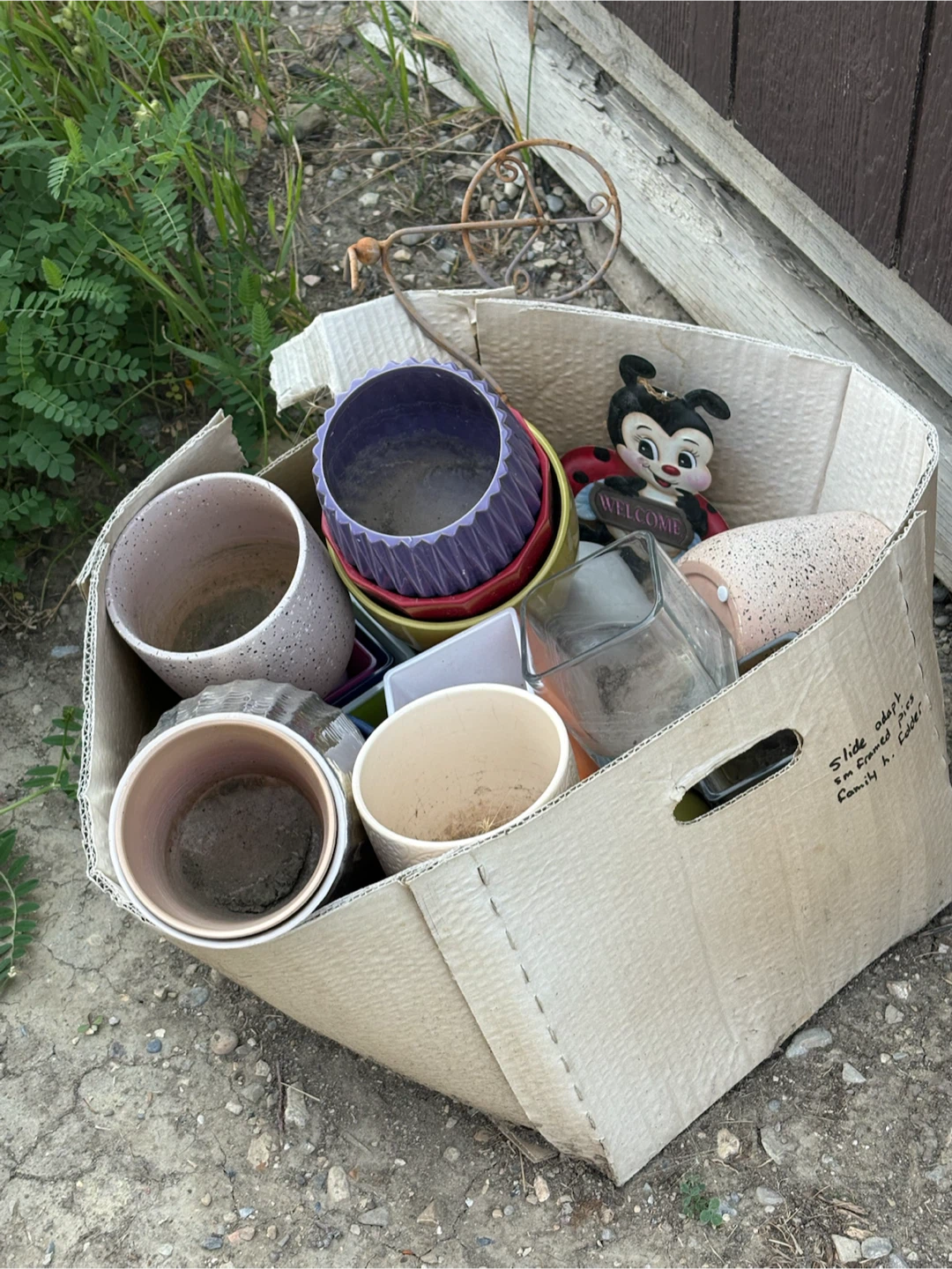 Assorted Plant Pots and Decor