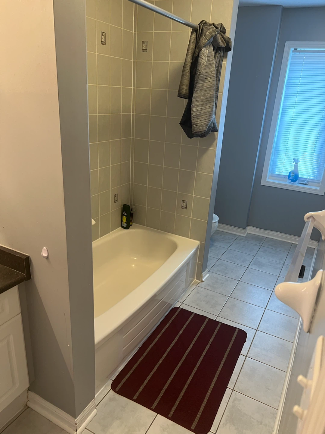 Roommate Masterbedroom with Ensuite Bath $1000 - photo 5