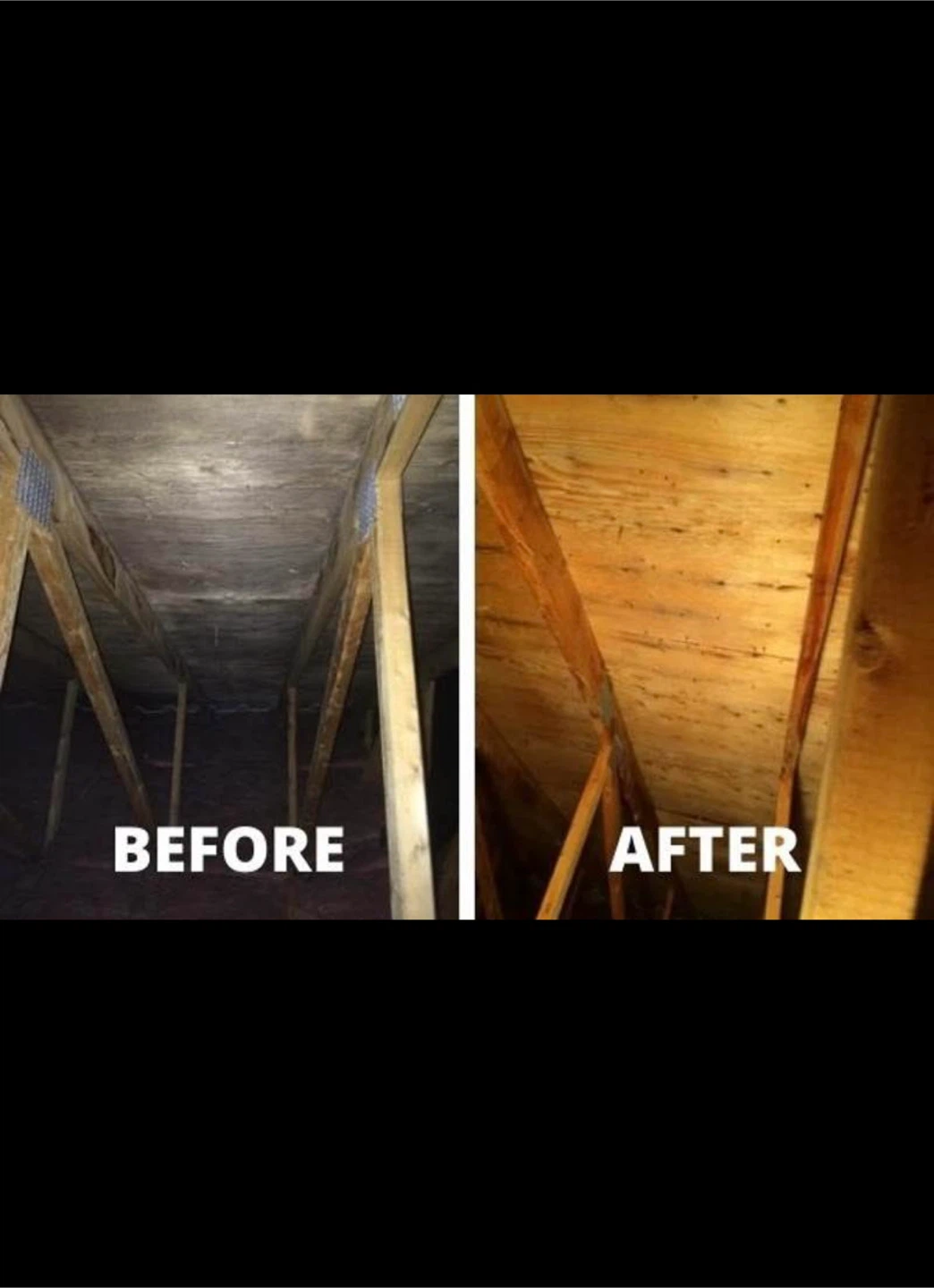 Attic Mold Cleaning Service