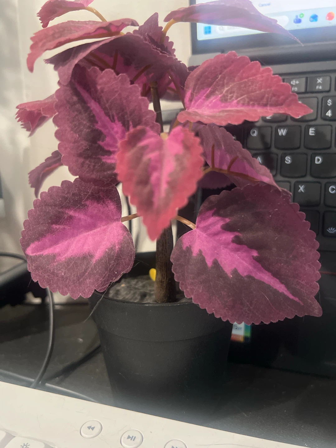 Artificial Pink and Purple Coleus Plant - photo 2