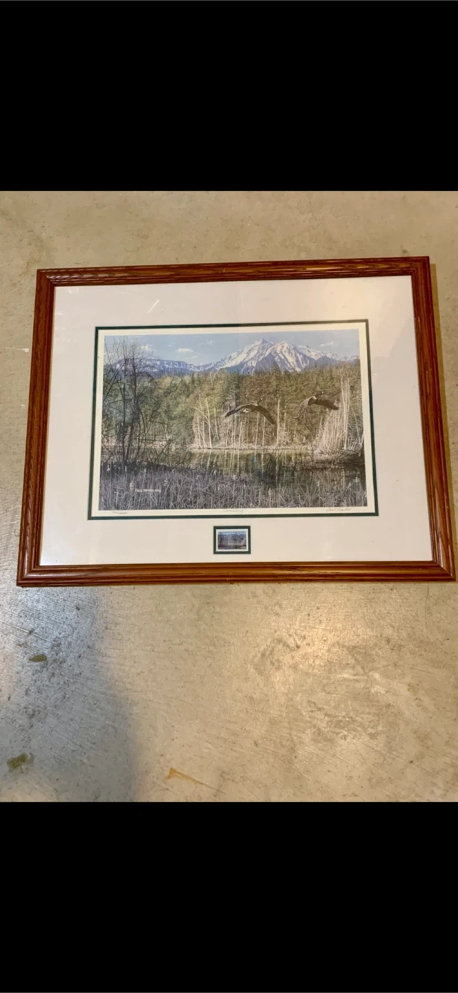 Framed Wildlife Limited Edition with Stamp