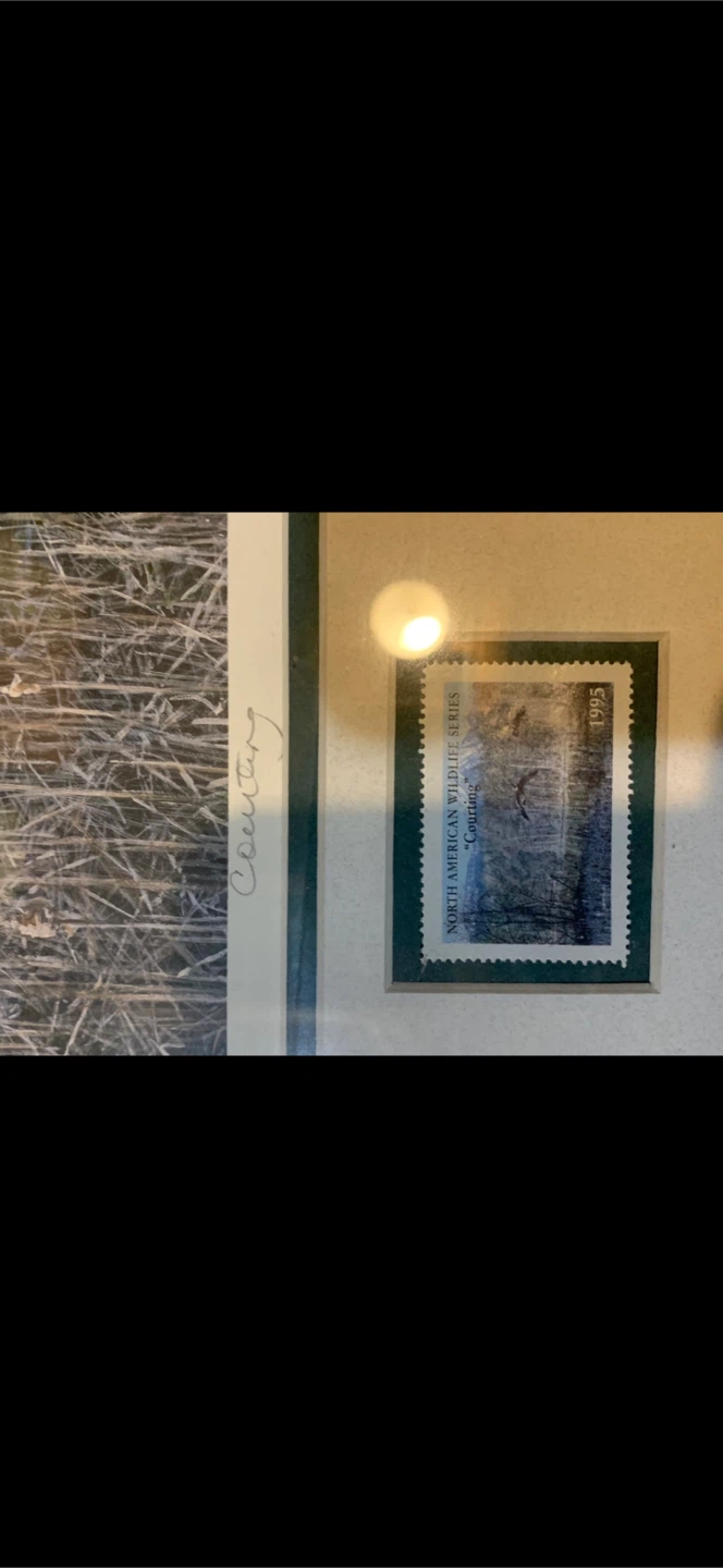 Framed Wildlife Limited Edition with Stamp - photo 2