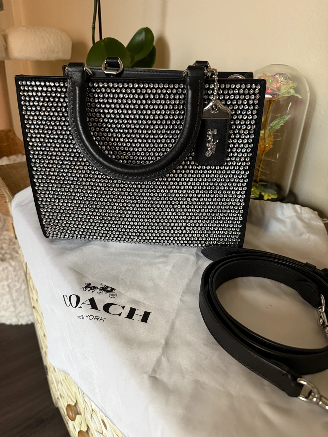 Coach Rogue Bag 25 Embellished With Crystals