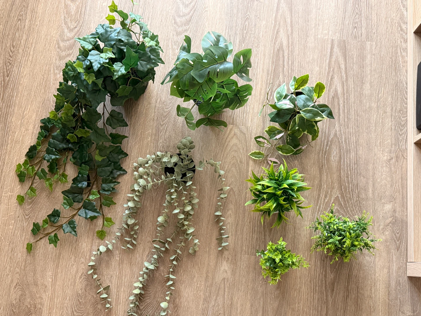 Ikea small indoor plants