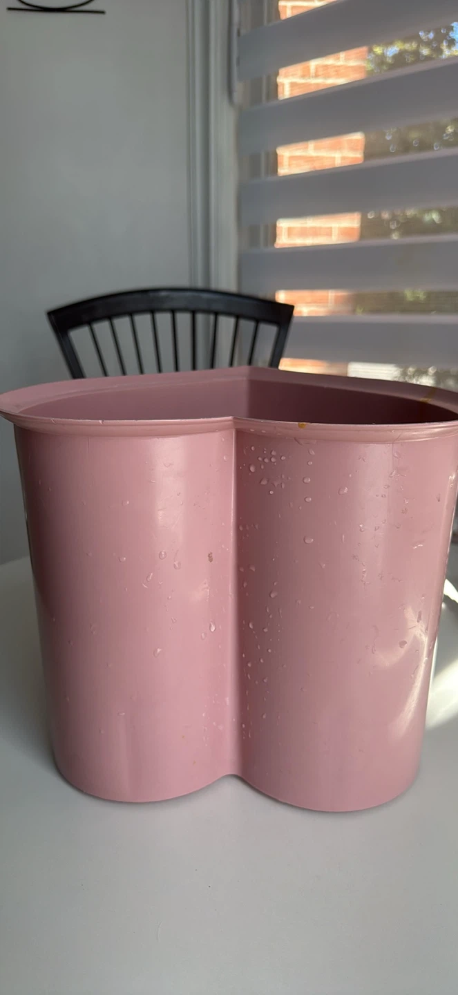 Pink Heart Container
