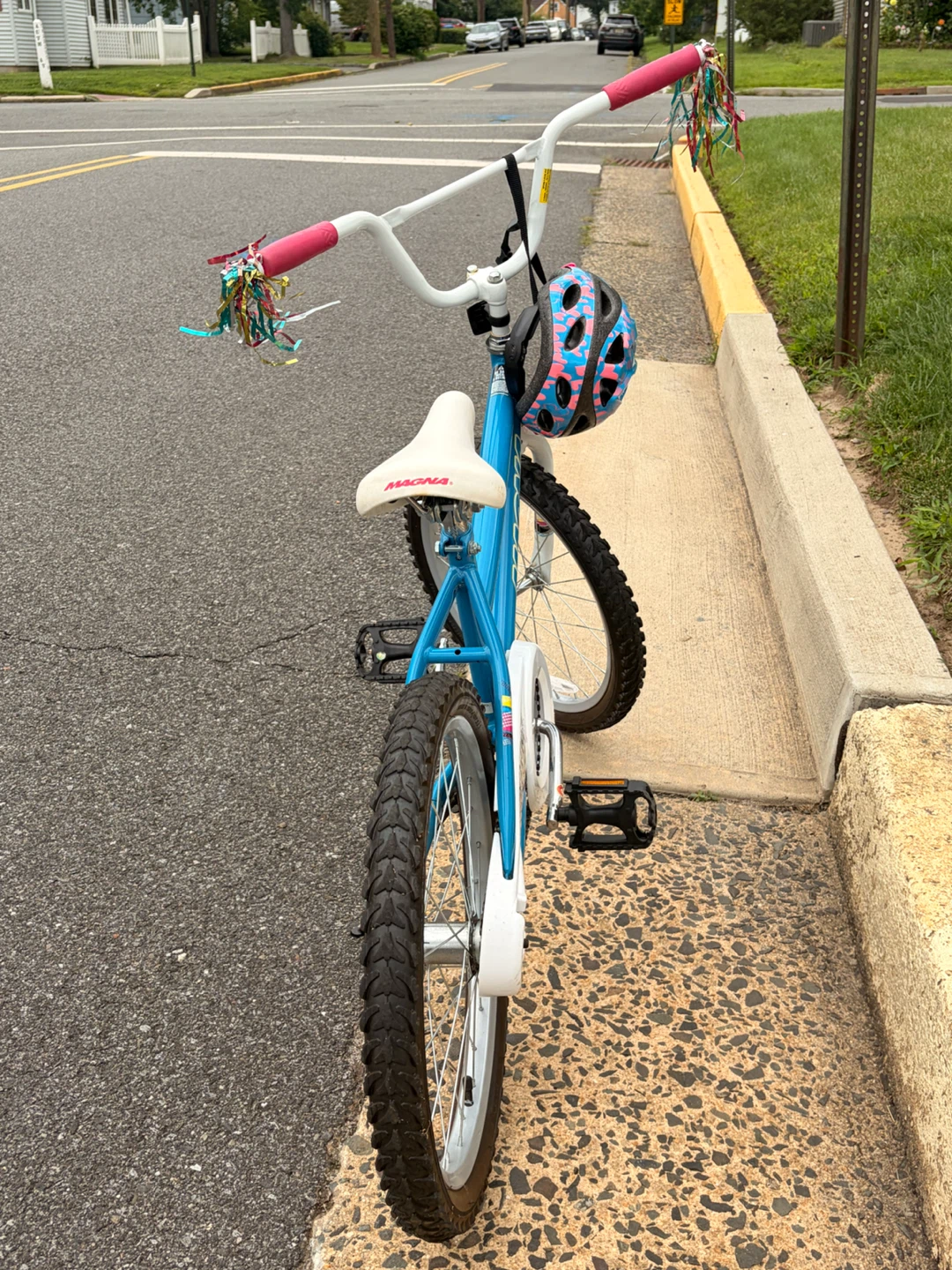 Magna Kids Bicycle - Blue - photo 4