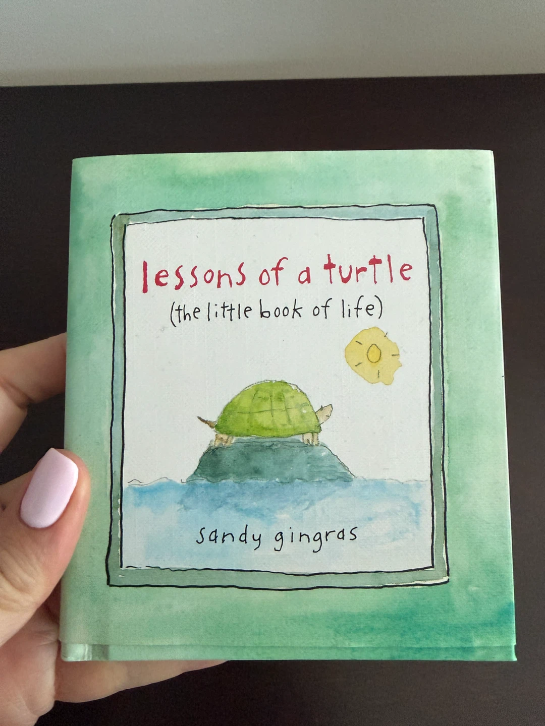 Lessons of a Turtle (the little book of life) by Sandy Gingras