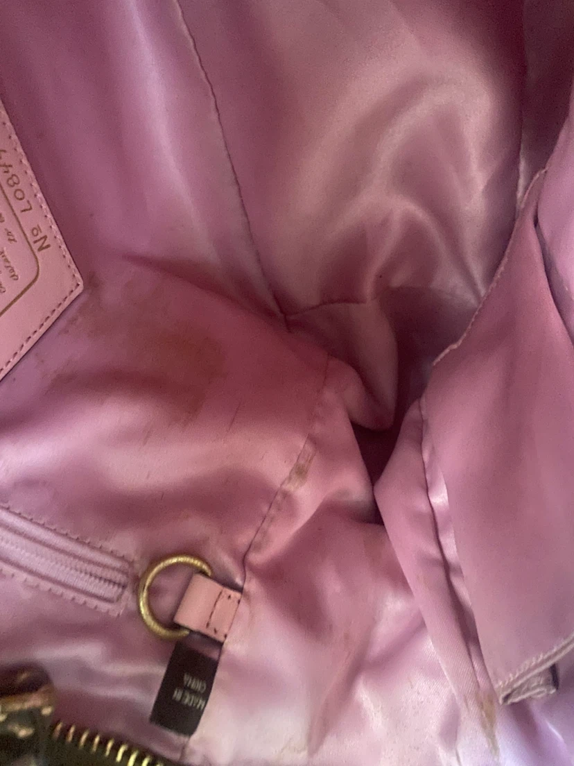 Coach Canvas Signature Tote Bag