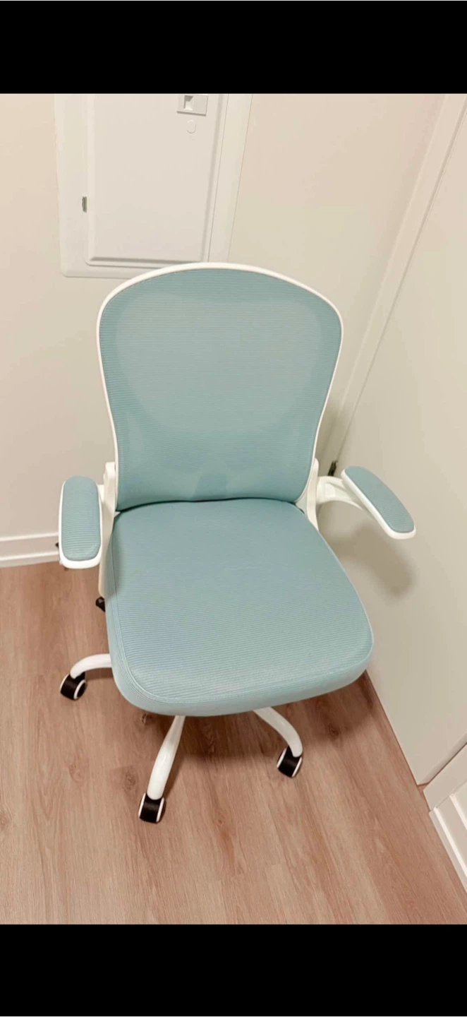 Ergonomic Mesh Office Chair - Black