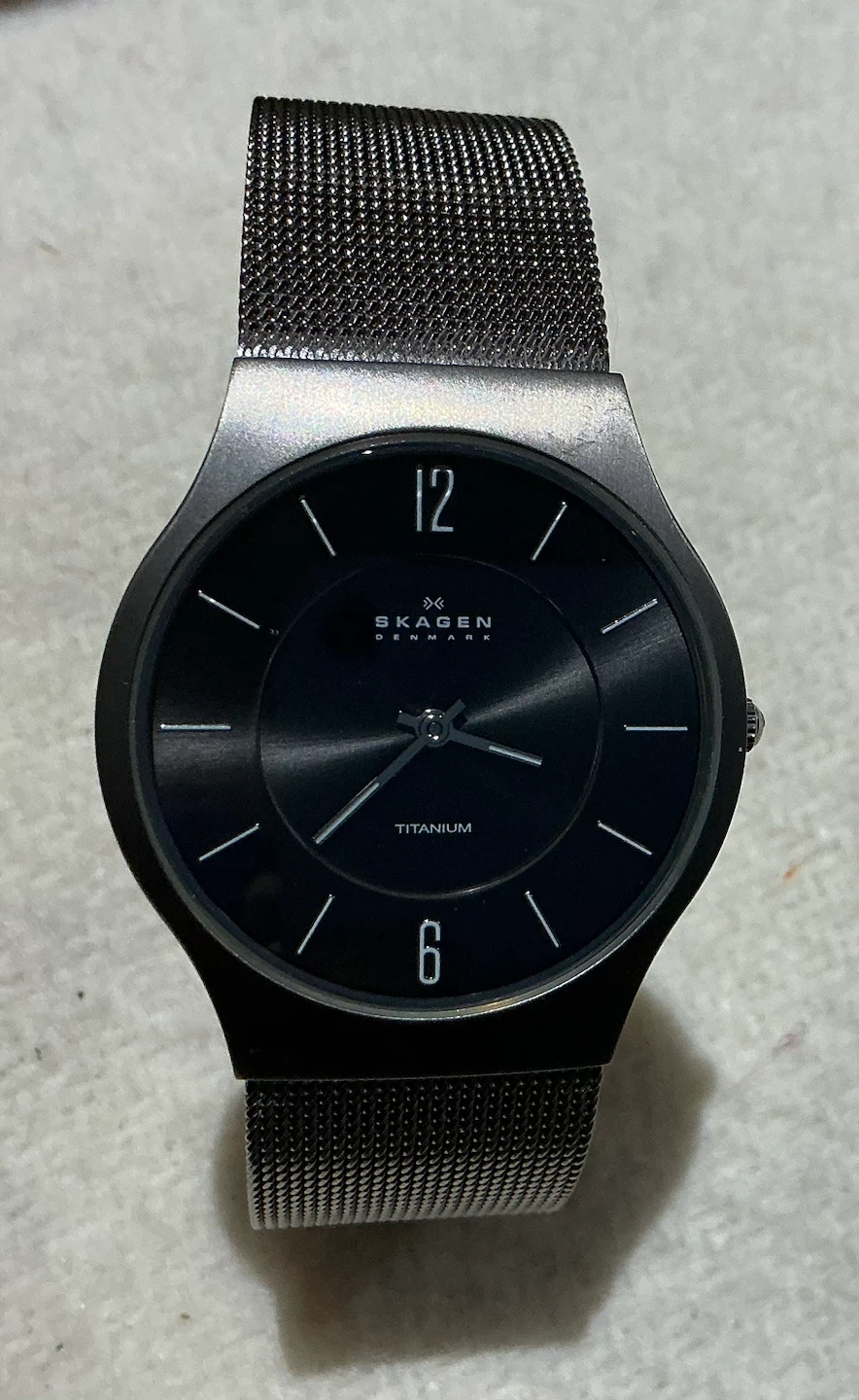 Skagen Denmark Titanium Watch