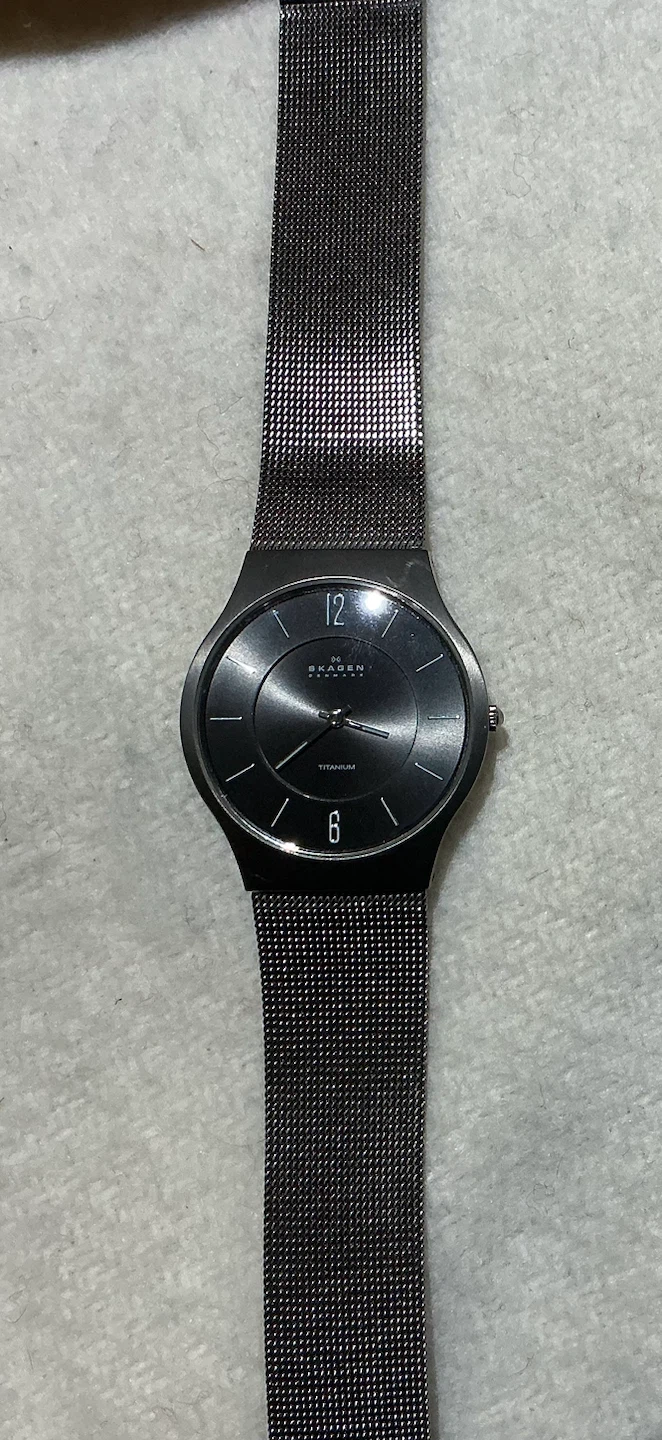 Skagen Denmark Titanium Watch - photo 2