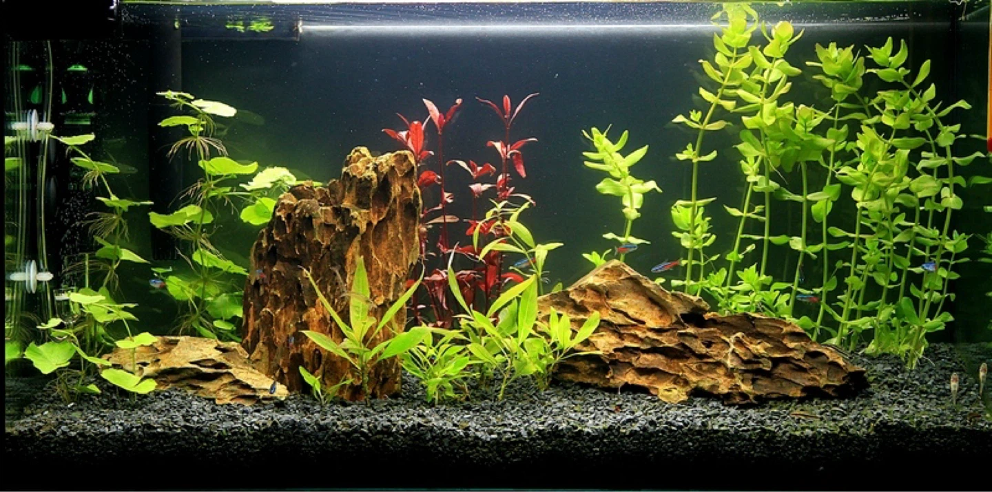Black Gravel Aquarium Substrate