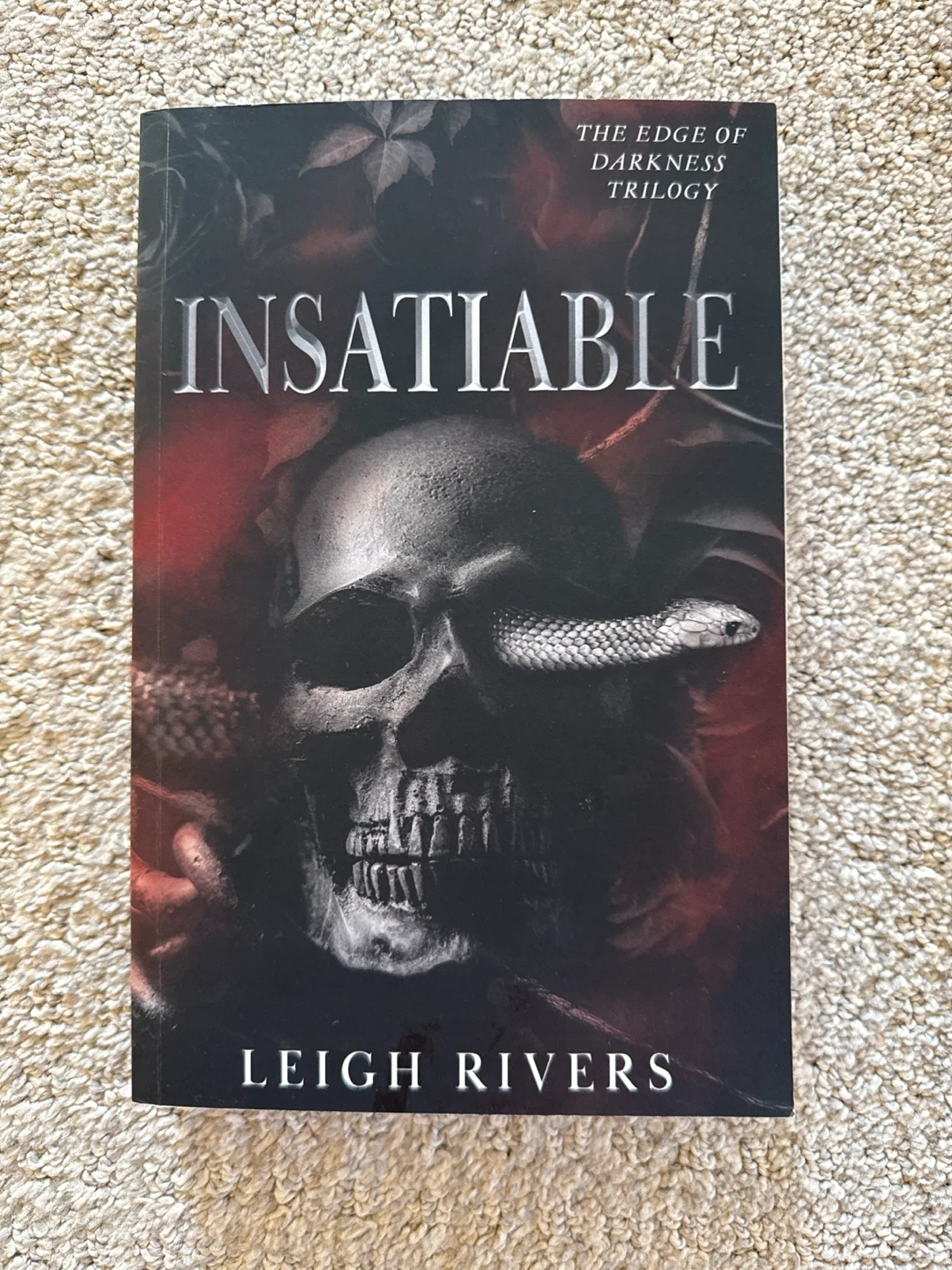 The Edge of Darkness Trilogy by Leigh Rivers