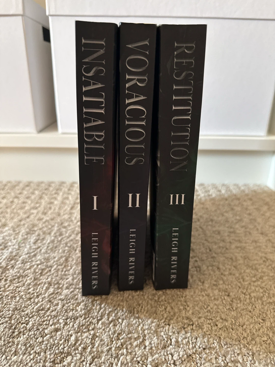 The Edge of Darkness Trilogy by Leigh Rivers - photo 4