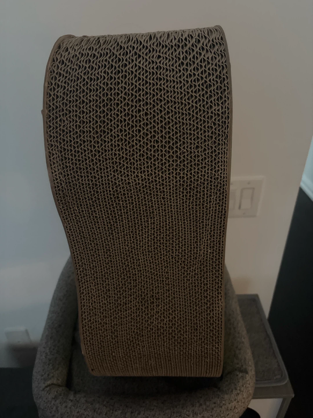 Avocado Cat Scratcher - photo 2