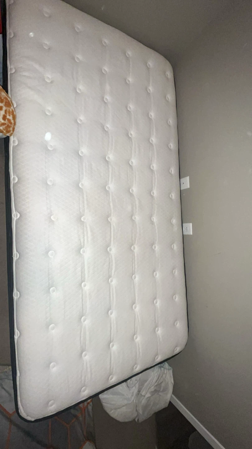 Twin Mattress and Box Spring Set NEED GONE