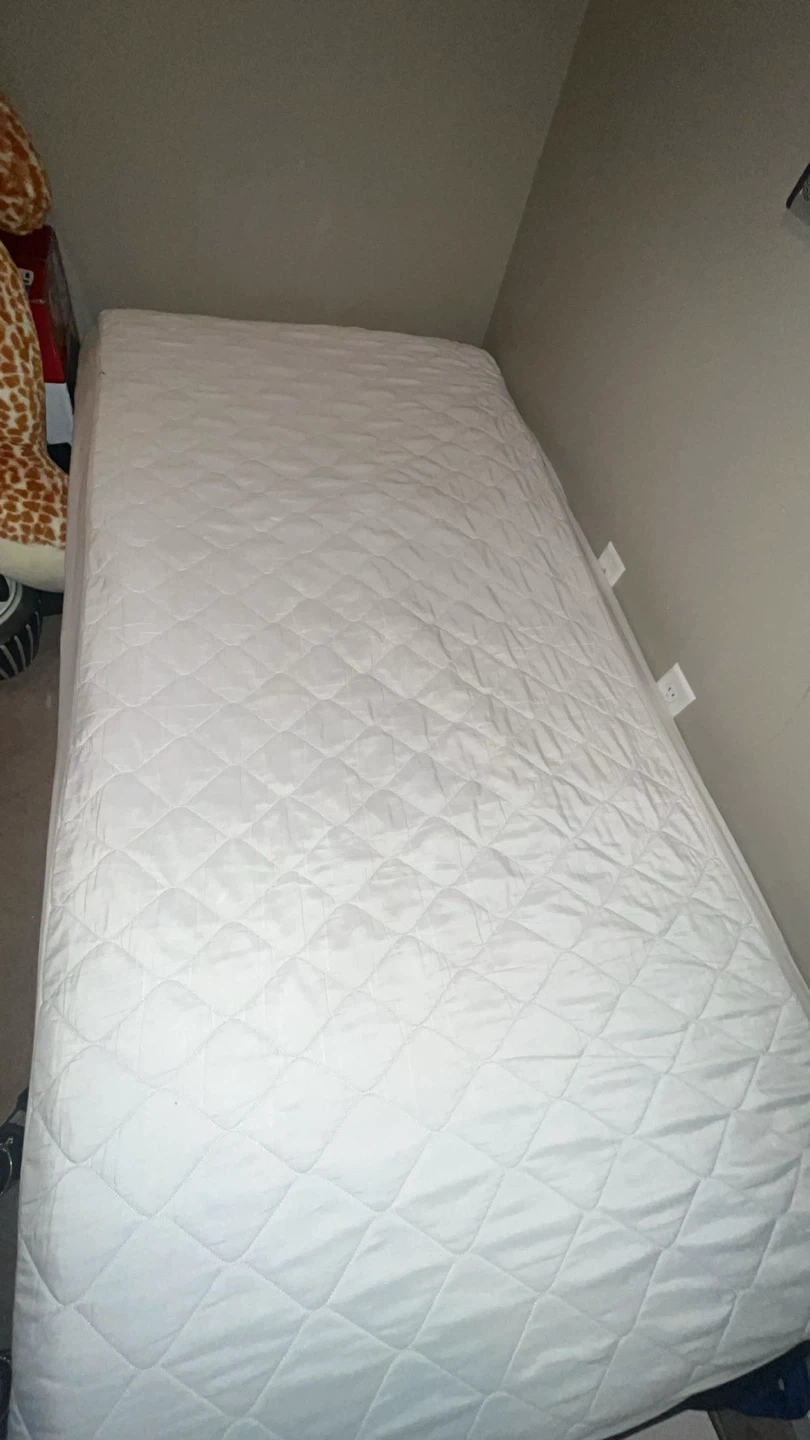 Twin Mattress and Box Spring Set NEED GONE - photo 2