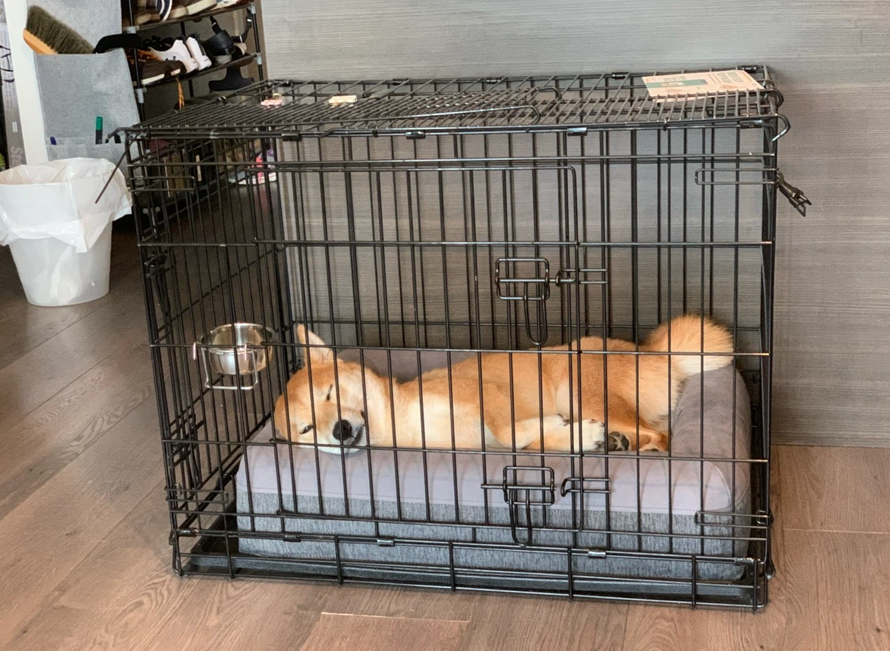Midwest Life Medium Dog Crate - photo 2