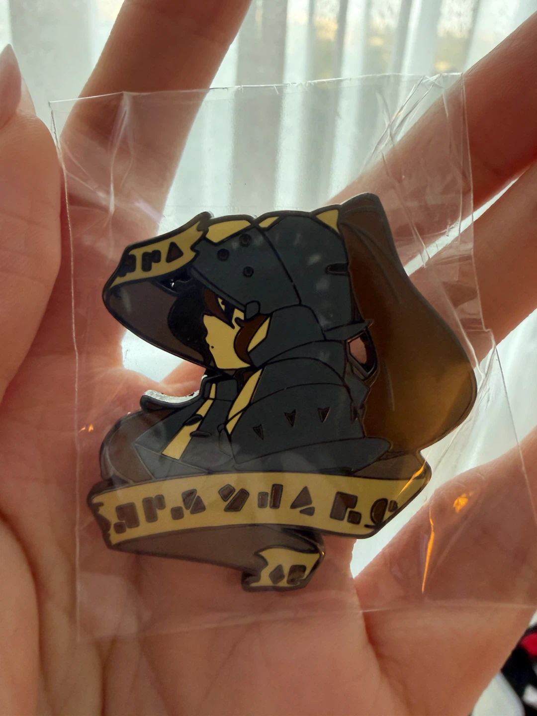 Acrylic pin