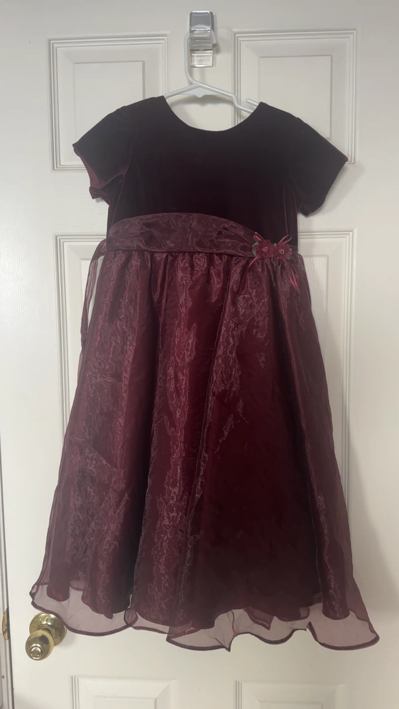 Velvet and Organza Party Dress