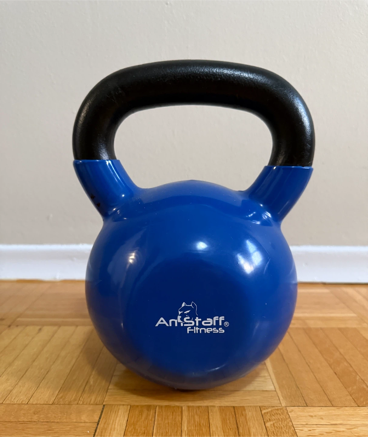 AmStaff Fitness 60 LB Kettlebell