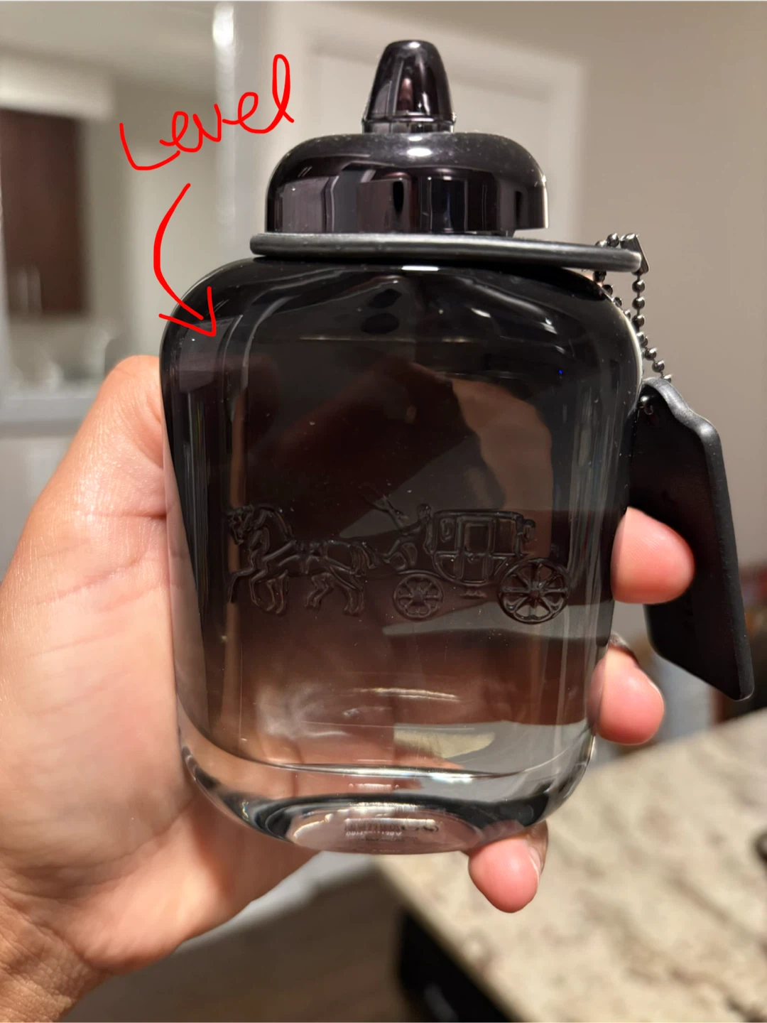 Coach New York Cologne - photo 2