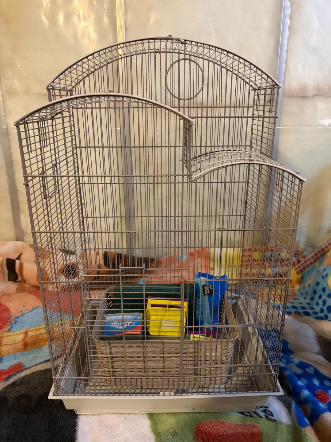 Medium Bird Cage with Accessories