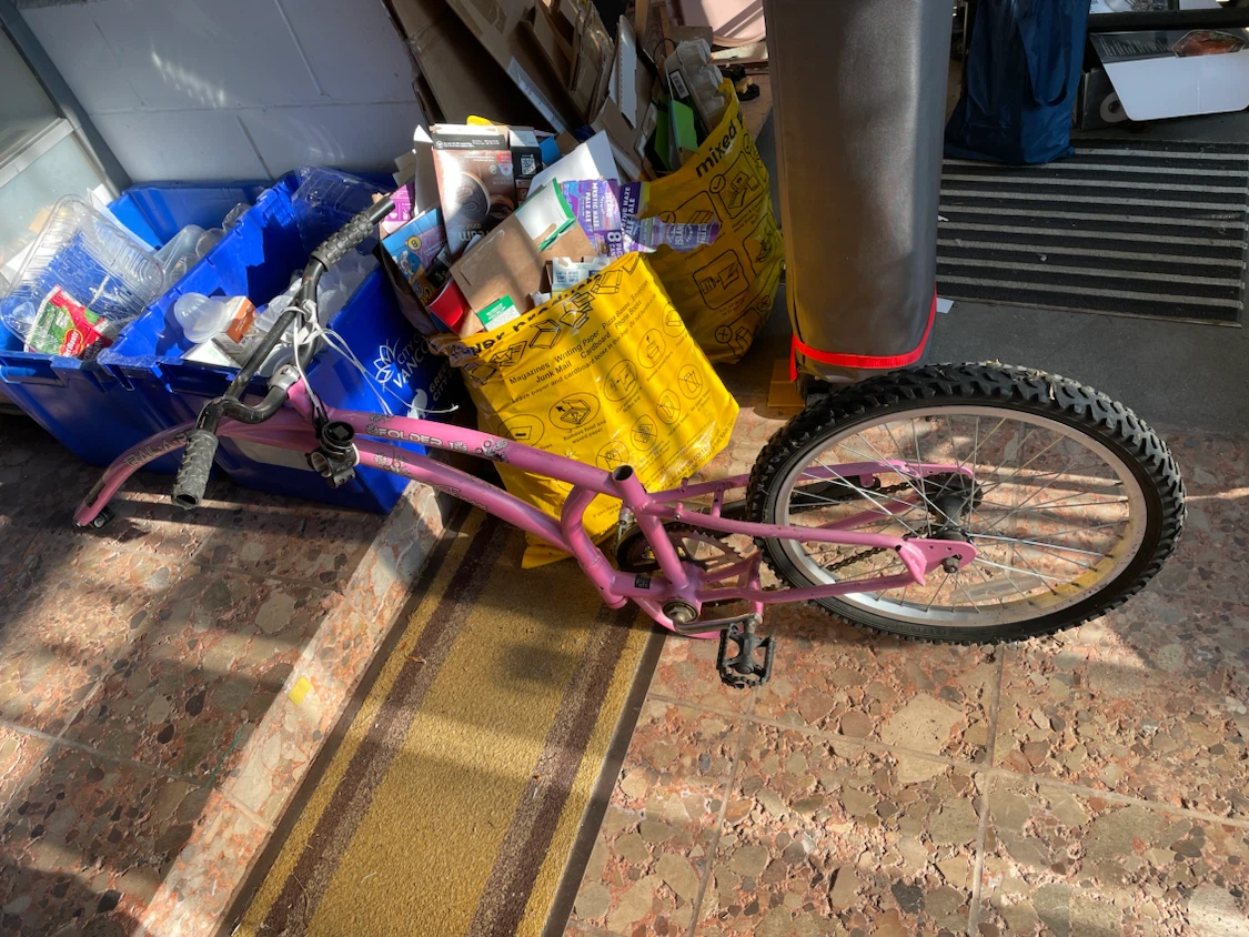 Pink Trail-a-bike folder 1 Adams