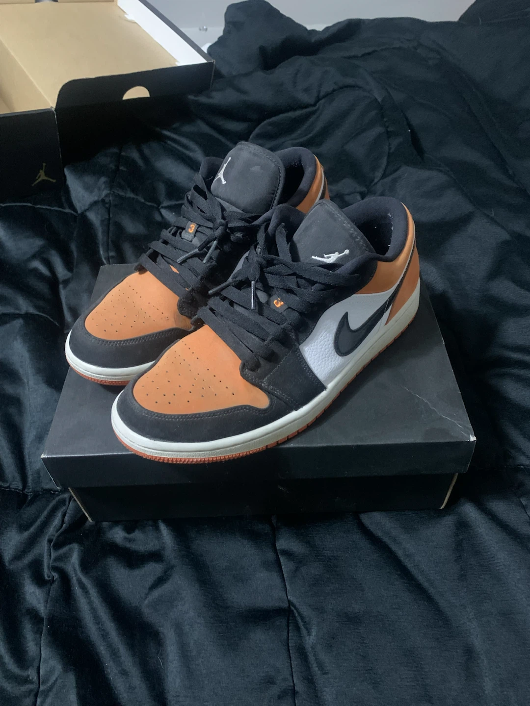 Air Jordan 1 Low SE Men's Shoes