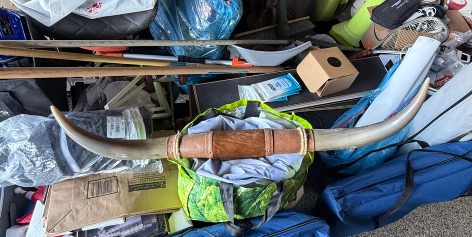 Longhorn Cow Horns with Leather Wrap