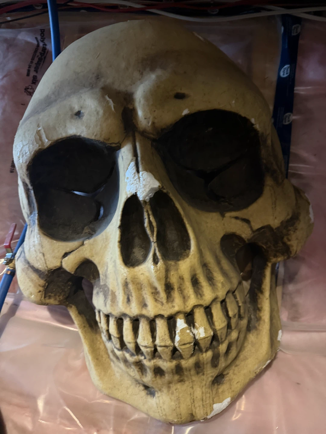 Halloween decor