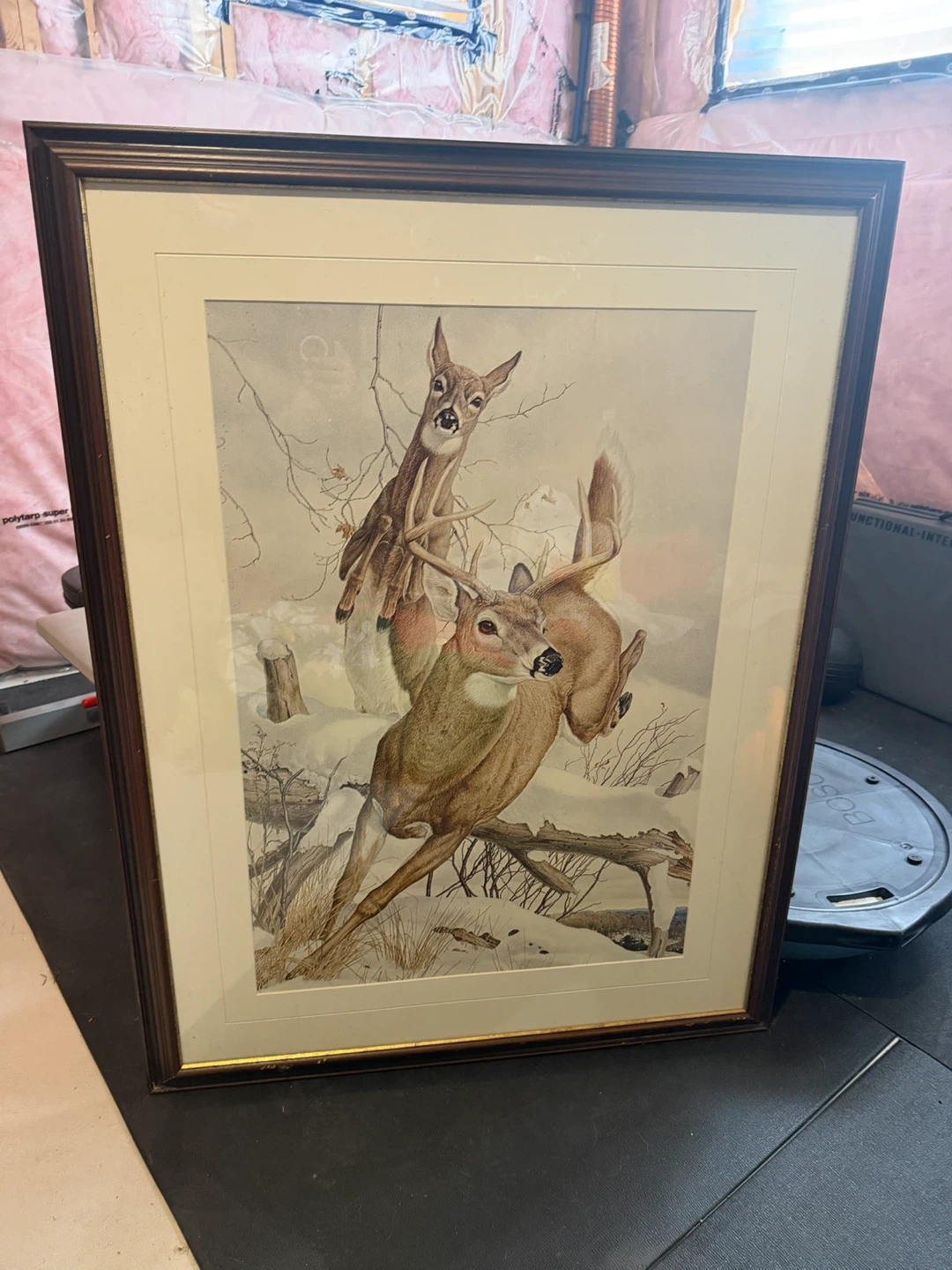 Framed Art Print of Deer in Snow
