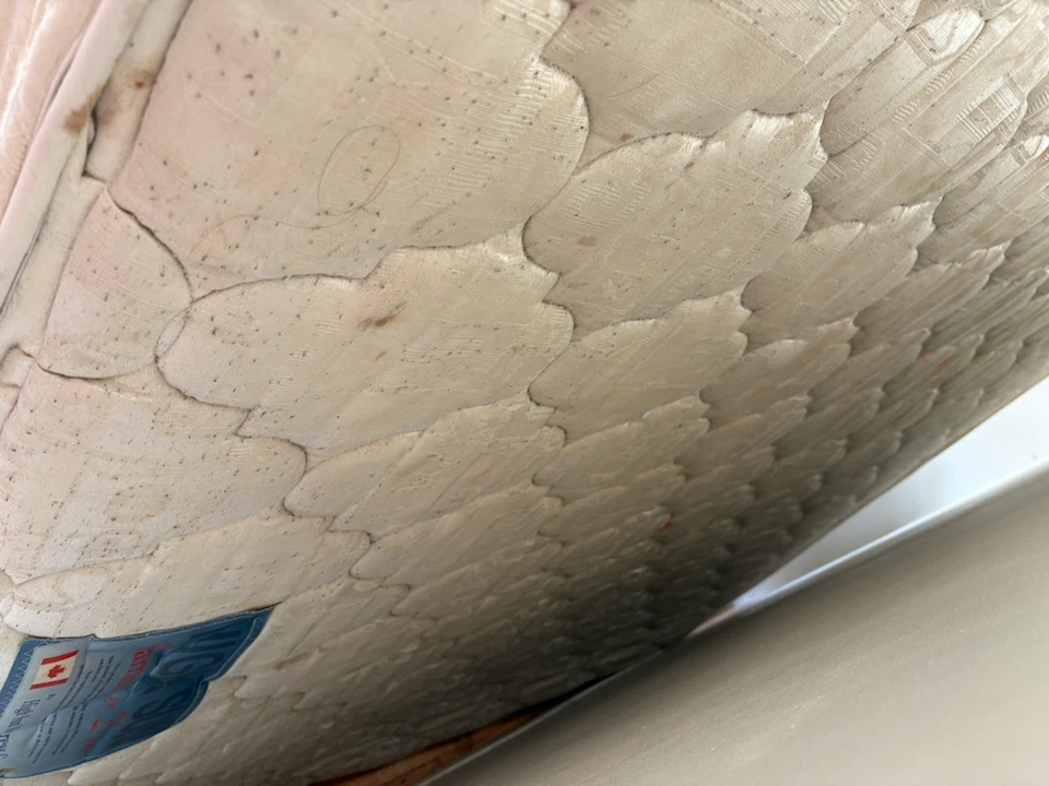 Free queen mattress