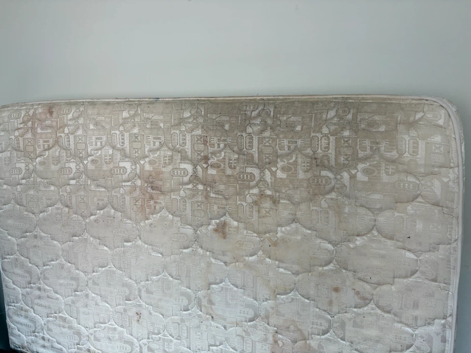 Free queen mattress - photo 3