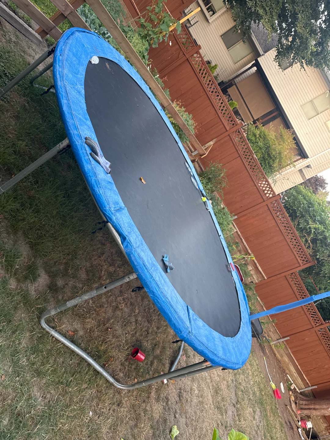 Oval Trampoline with Blue Safety Pad - photo 2