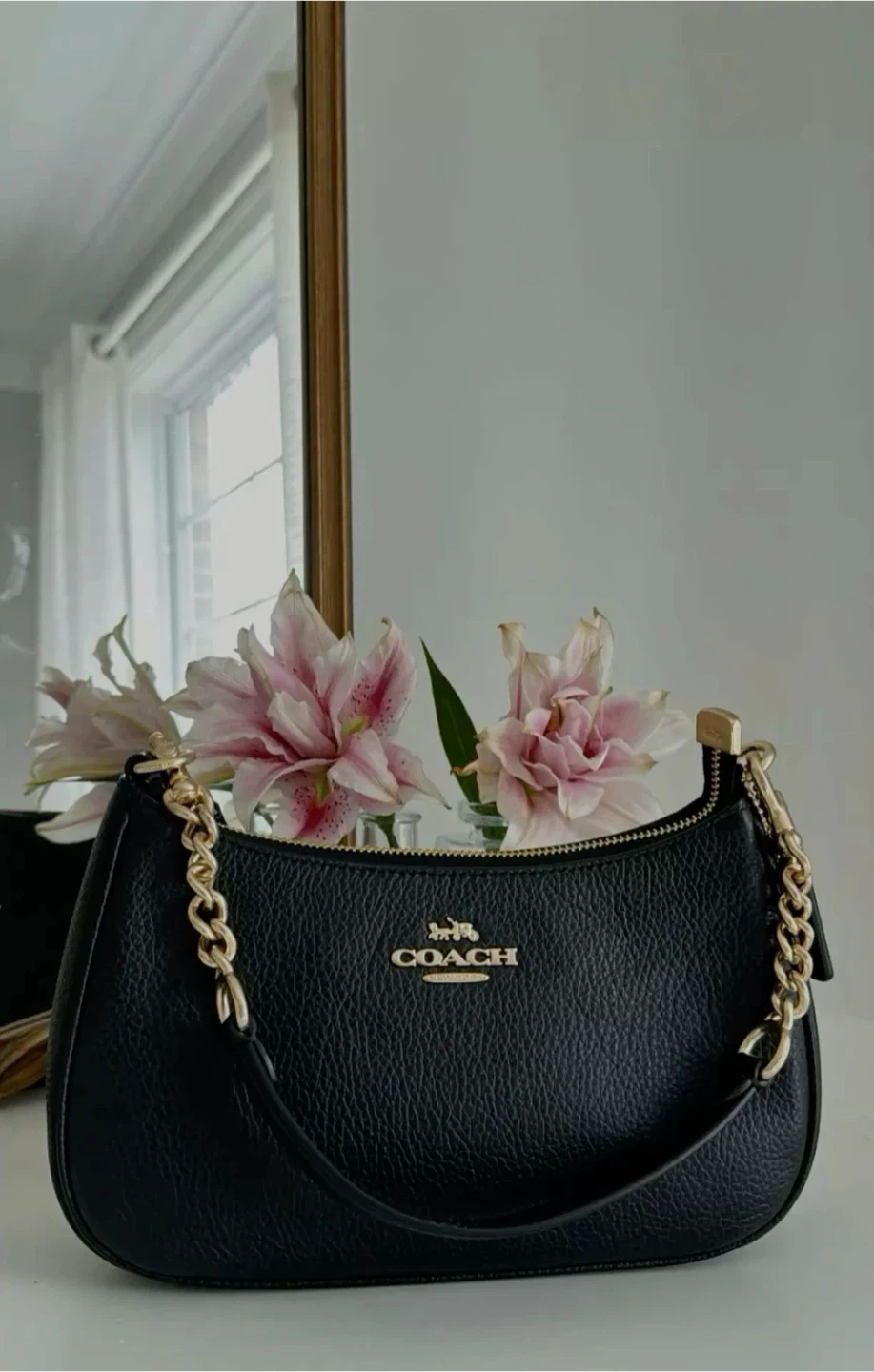 Coach teri Shoulder Bag
