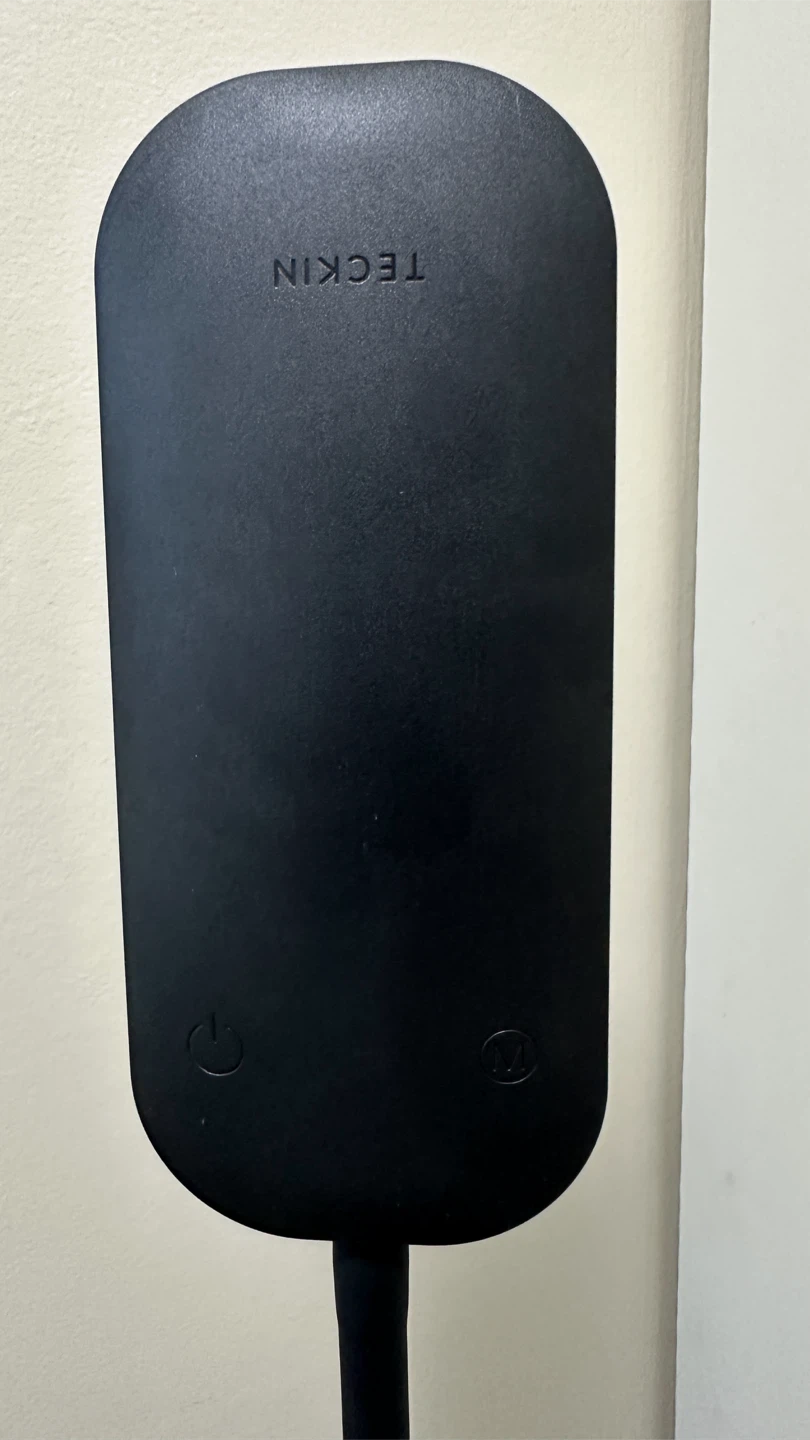 TECKIN Floor Lamp - photo 3