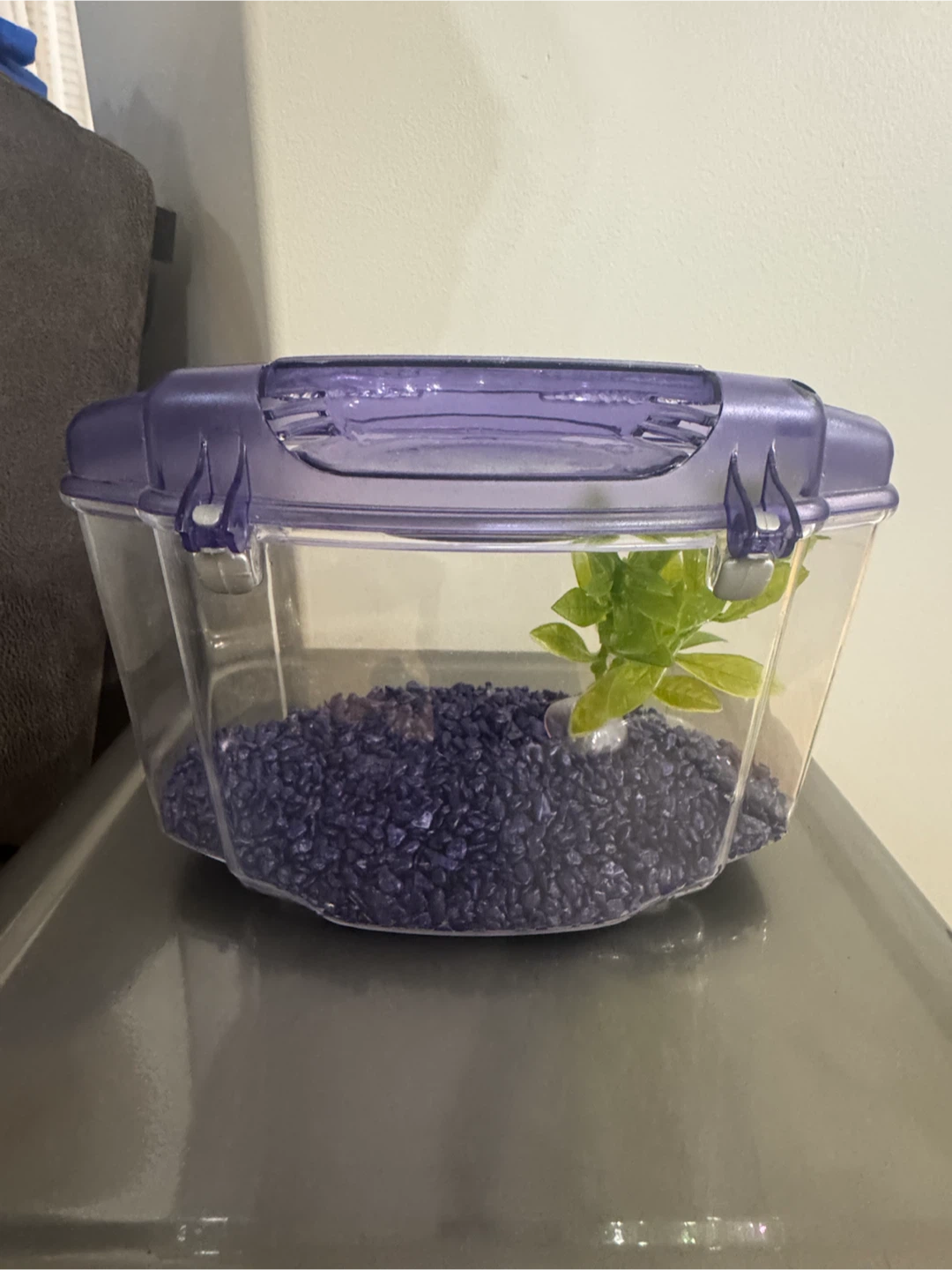 Fish Tank Aquarium - photo 2