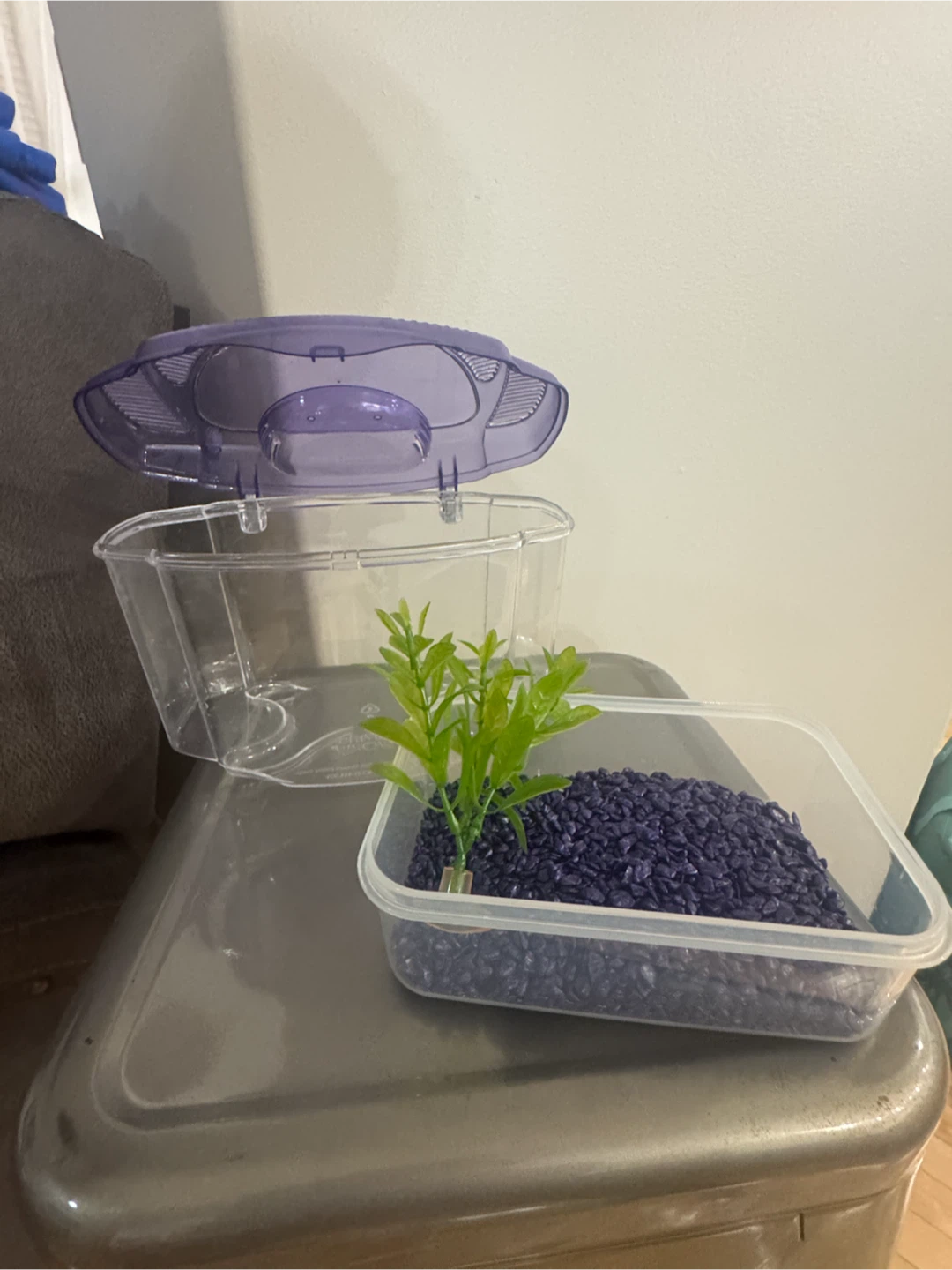 Fish Tank Aquarium - photo 3
