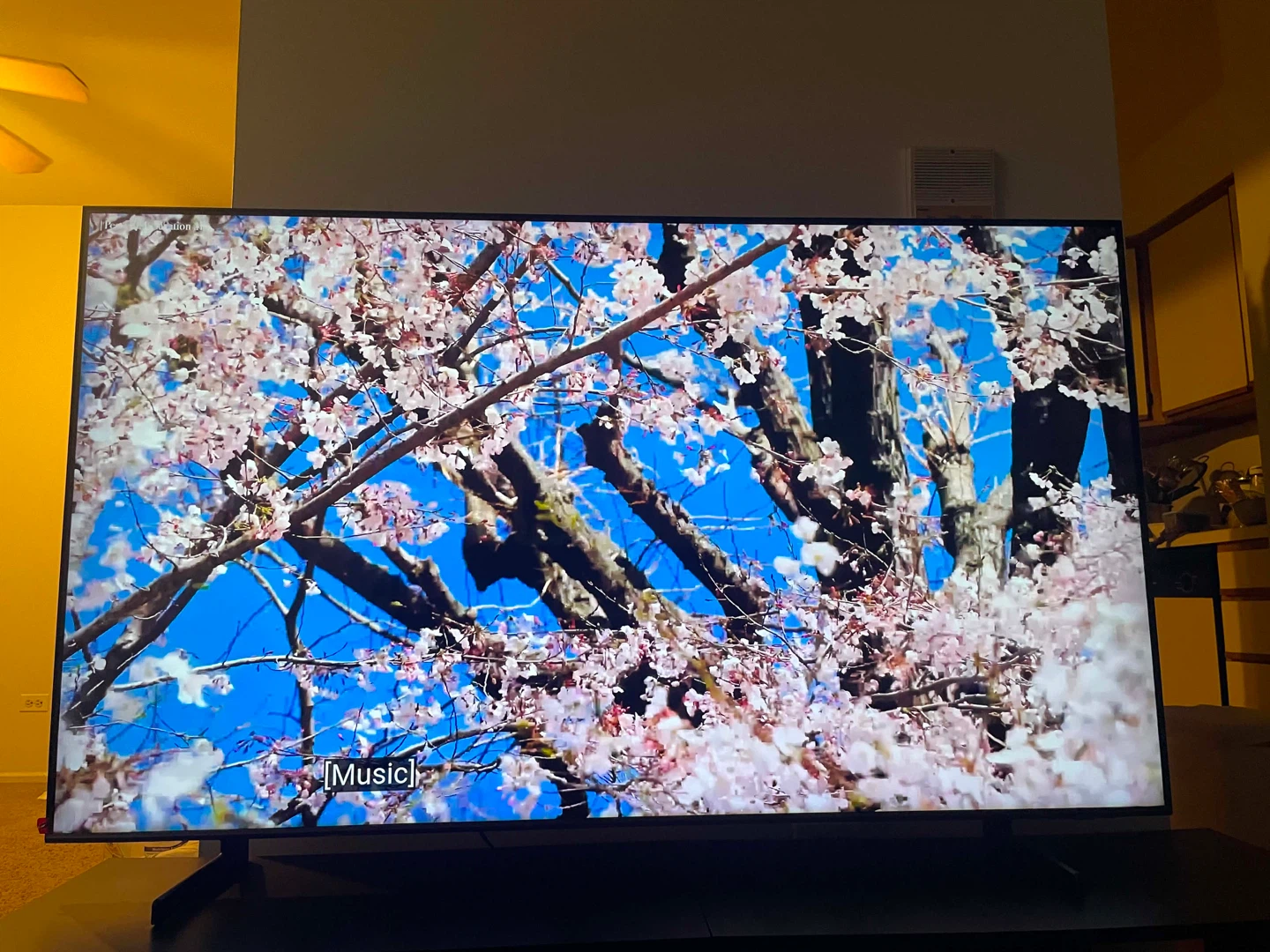 Samsung 65" Class QLED 4K Q60D TV