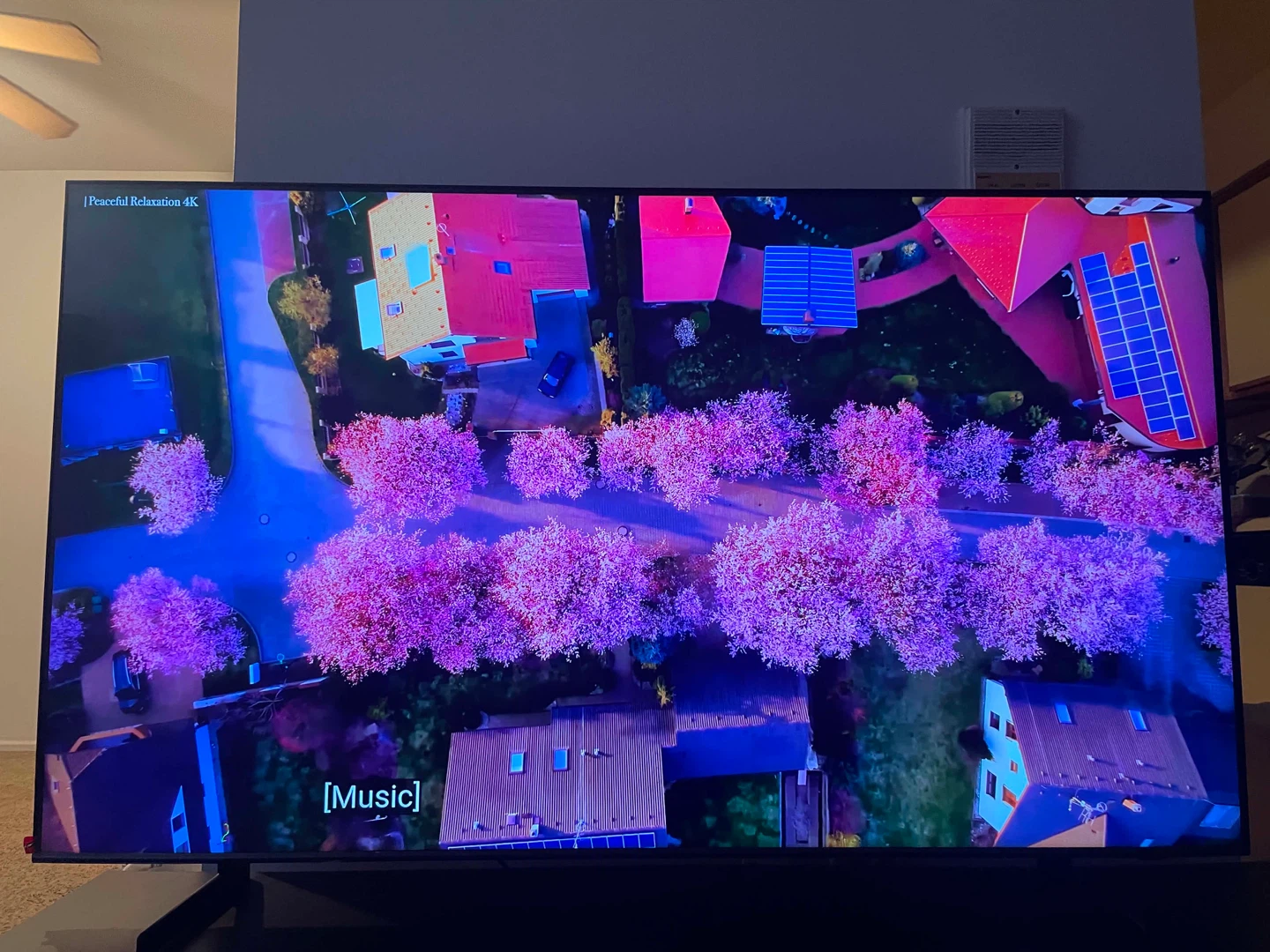 Samsung 65" Class QLED 4K Q60D TV - photo 4